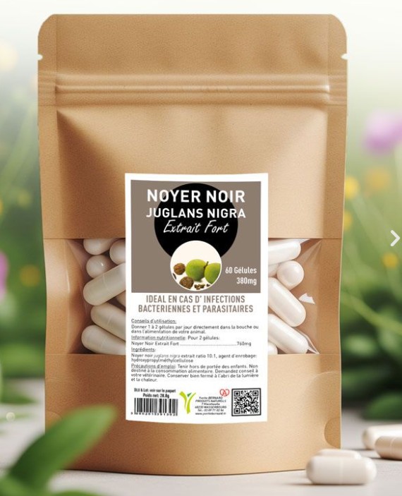 Noyer noir animal complément gélule