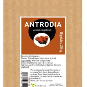 antrodia complément alimentaire