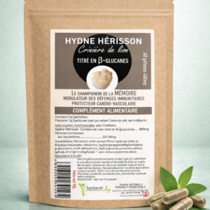 Lion’s Mane - Mémoire & concentration