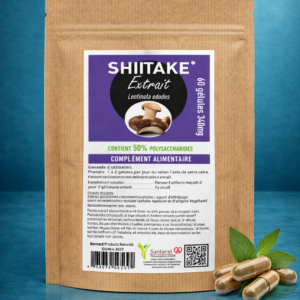 SHIITAKE (BIO) - Le Secret de Longévité (Lentinula Edodes)