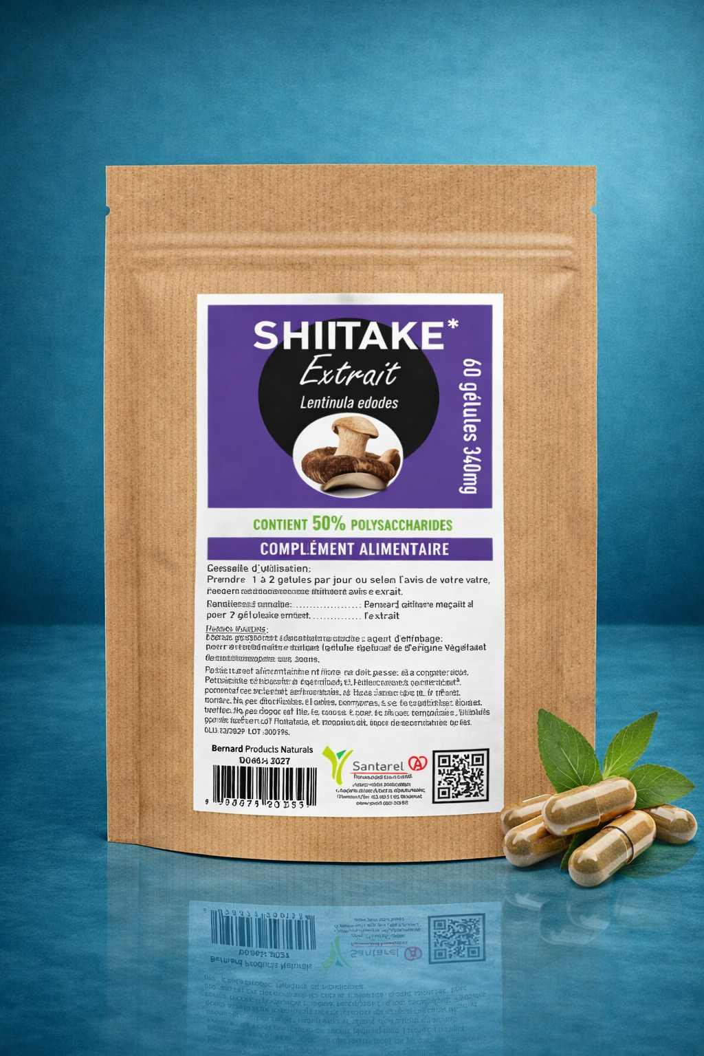 SHIITAKE (BIO) - Le Secret de Longévité (Lentinula Edodes)