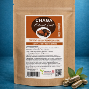 chaga