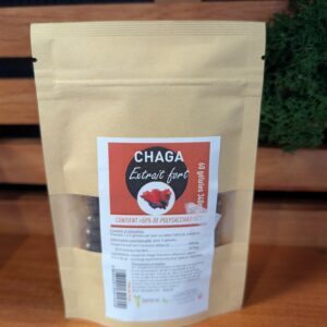 chaga champignon adaptogène fonctionnel