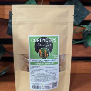 cordyceps champignon adaptogène fonctionnel
