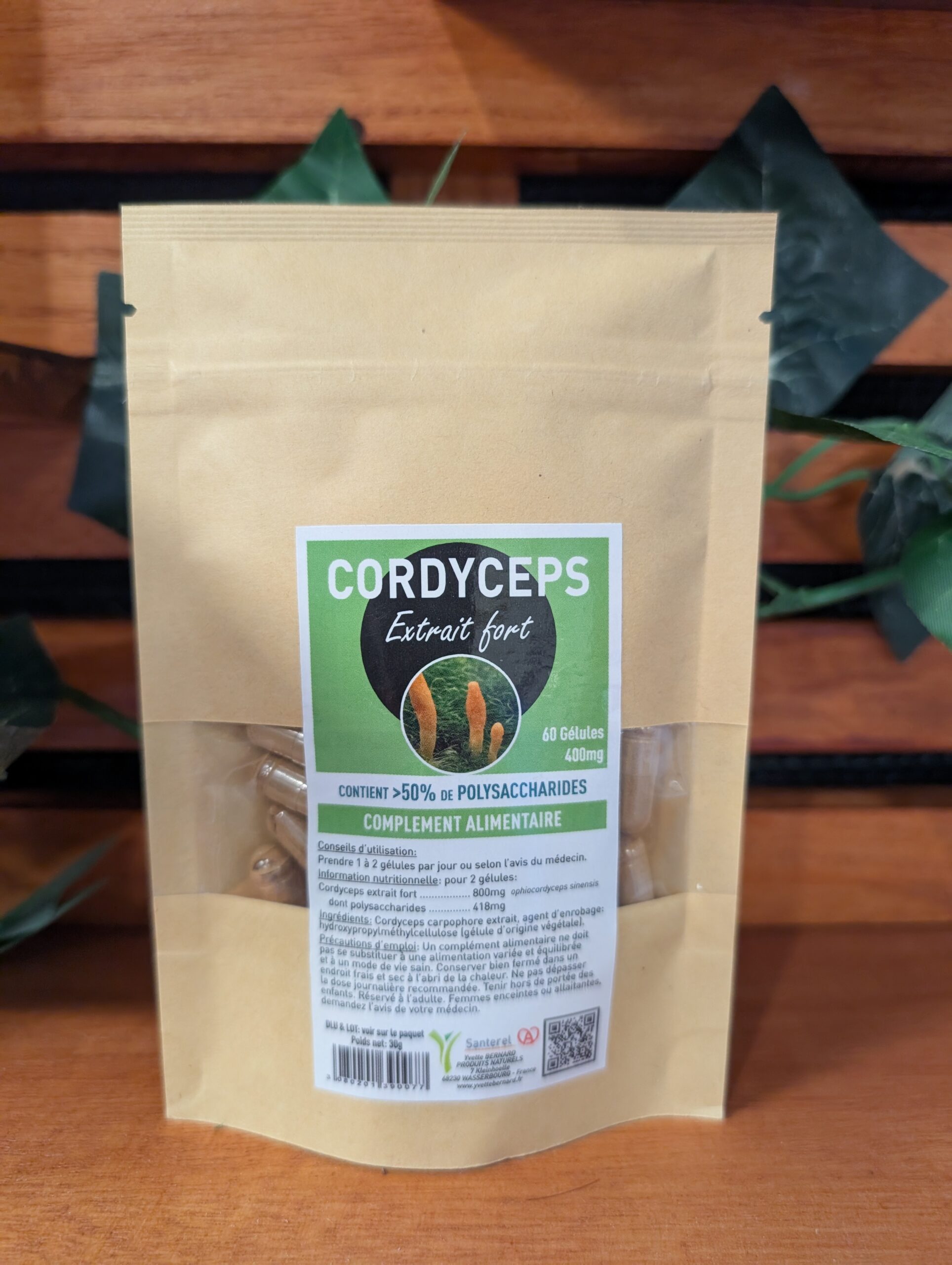 cordyceps champignon adaptogène fonctionnel
