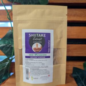 shiitake, lentinula edodes, immunité, tonique, vitalité, lentinane, bien-être, champignon fonctionnel, nutrition