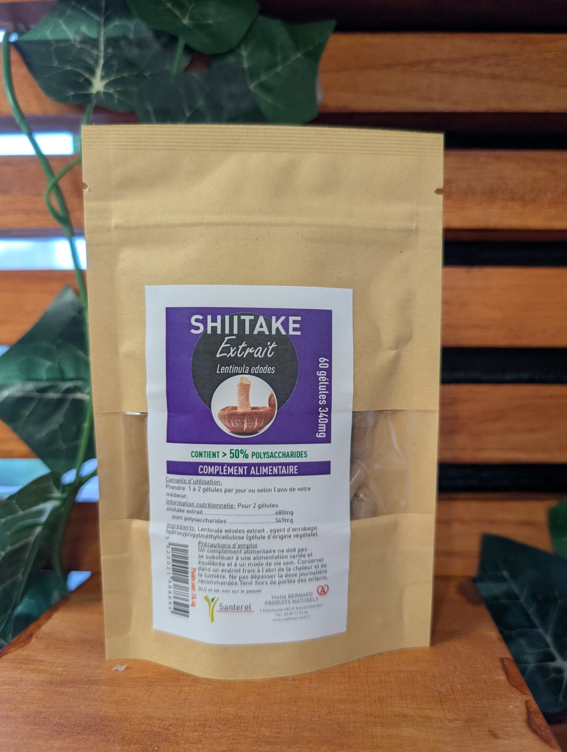 shiitake, lentinula edodes, immunité, tonique, vitalité, lentinane, bien-être, champignon fonctionnel, nutrition