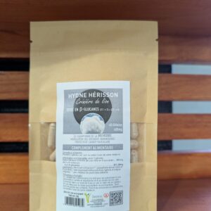 lion's mane champignon adaptoègne fonctionnel