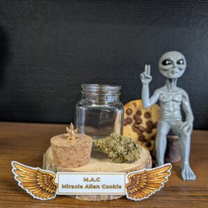 M.A.C. cookies indoor fleurs CBD