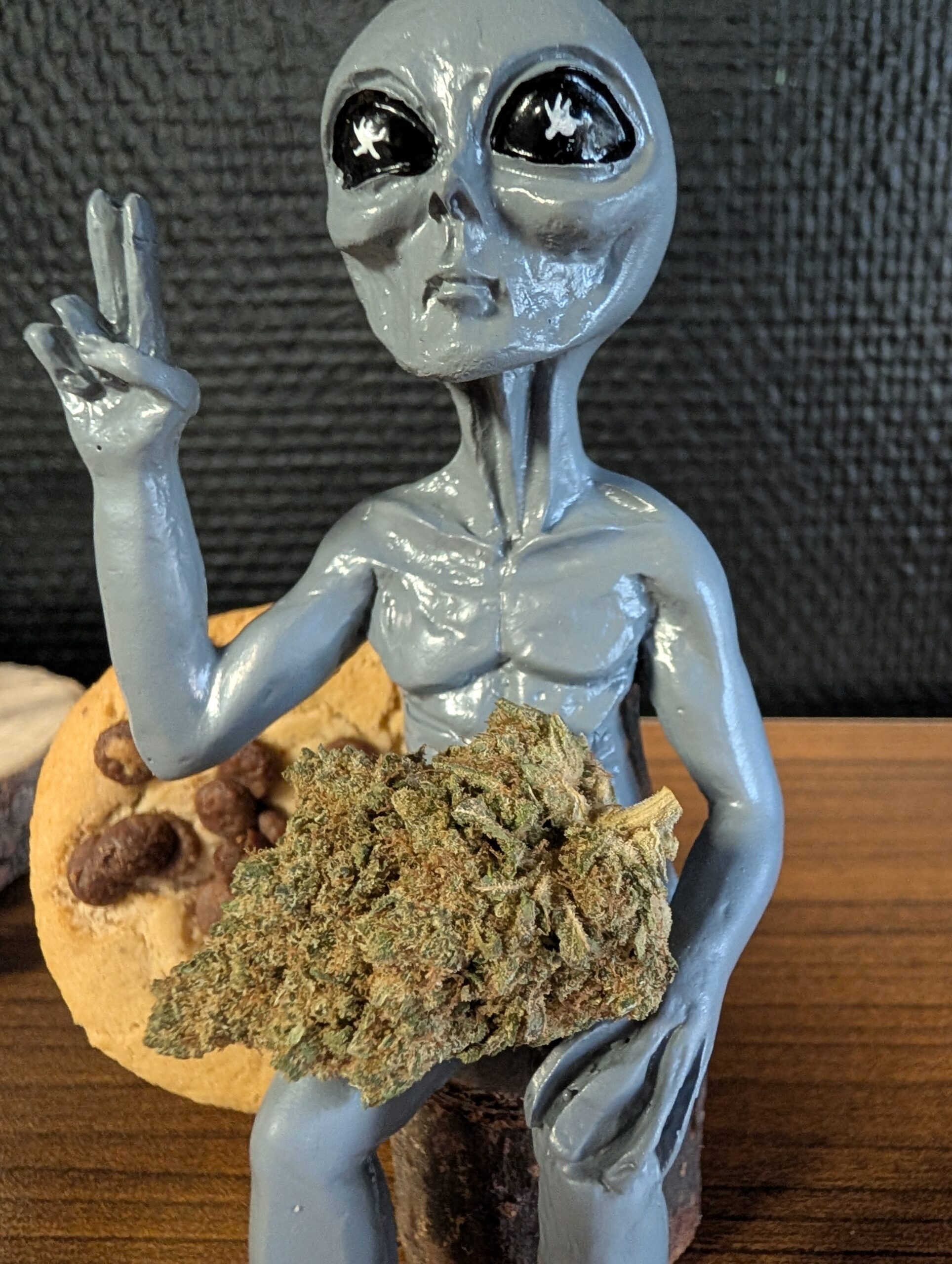 M.A.C. cookies indoor fleurs CBD