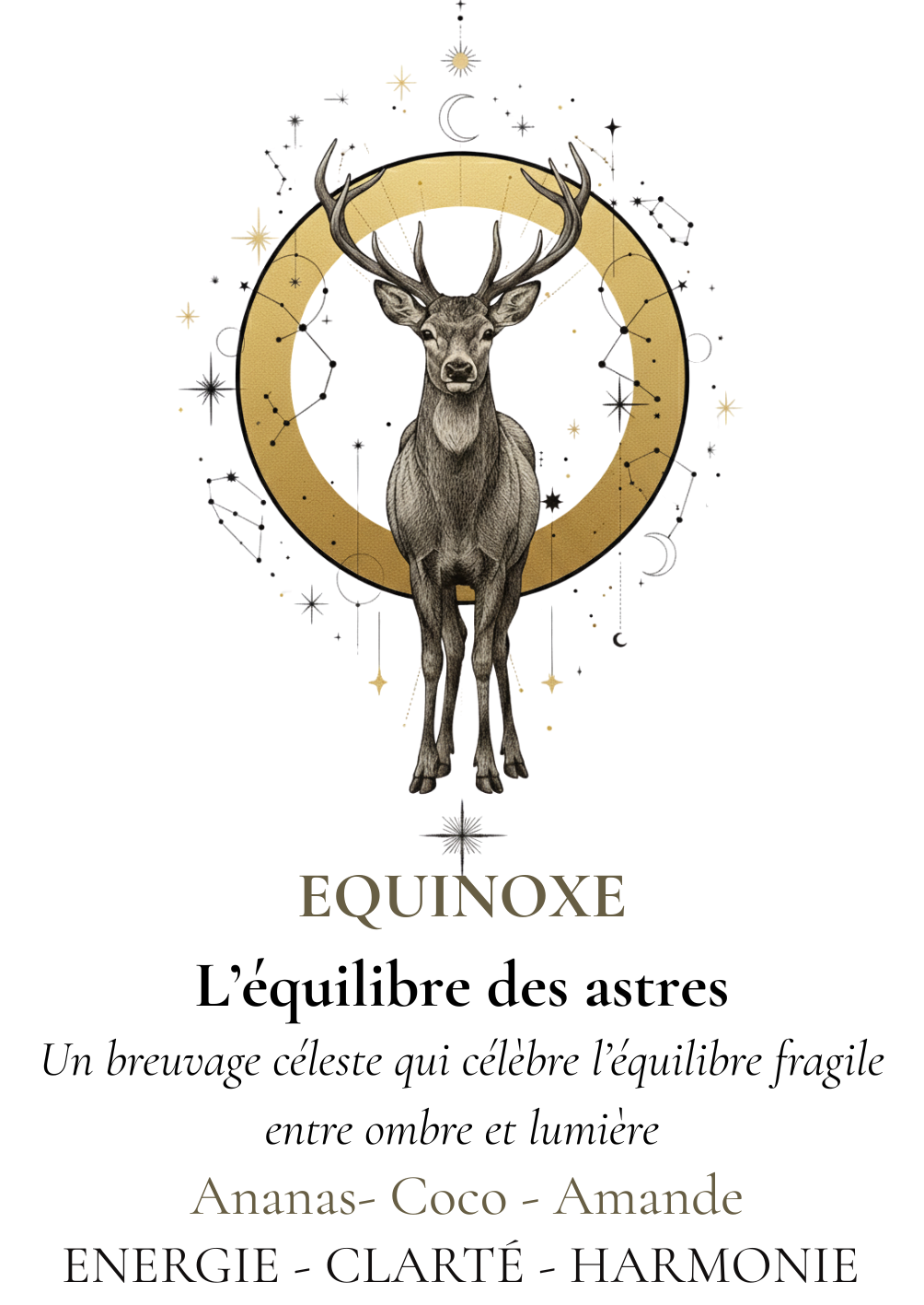 équinoxe infusion canelle papaye
