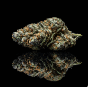 fleurs CBD Vice et Vertu premium indoor