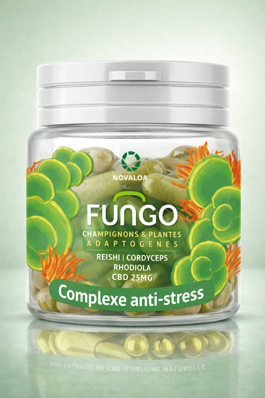reishi fungo anti stress rhodolia cbd vice et vertu novaloa