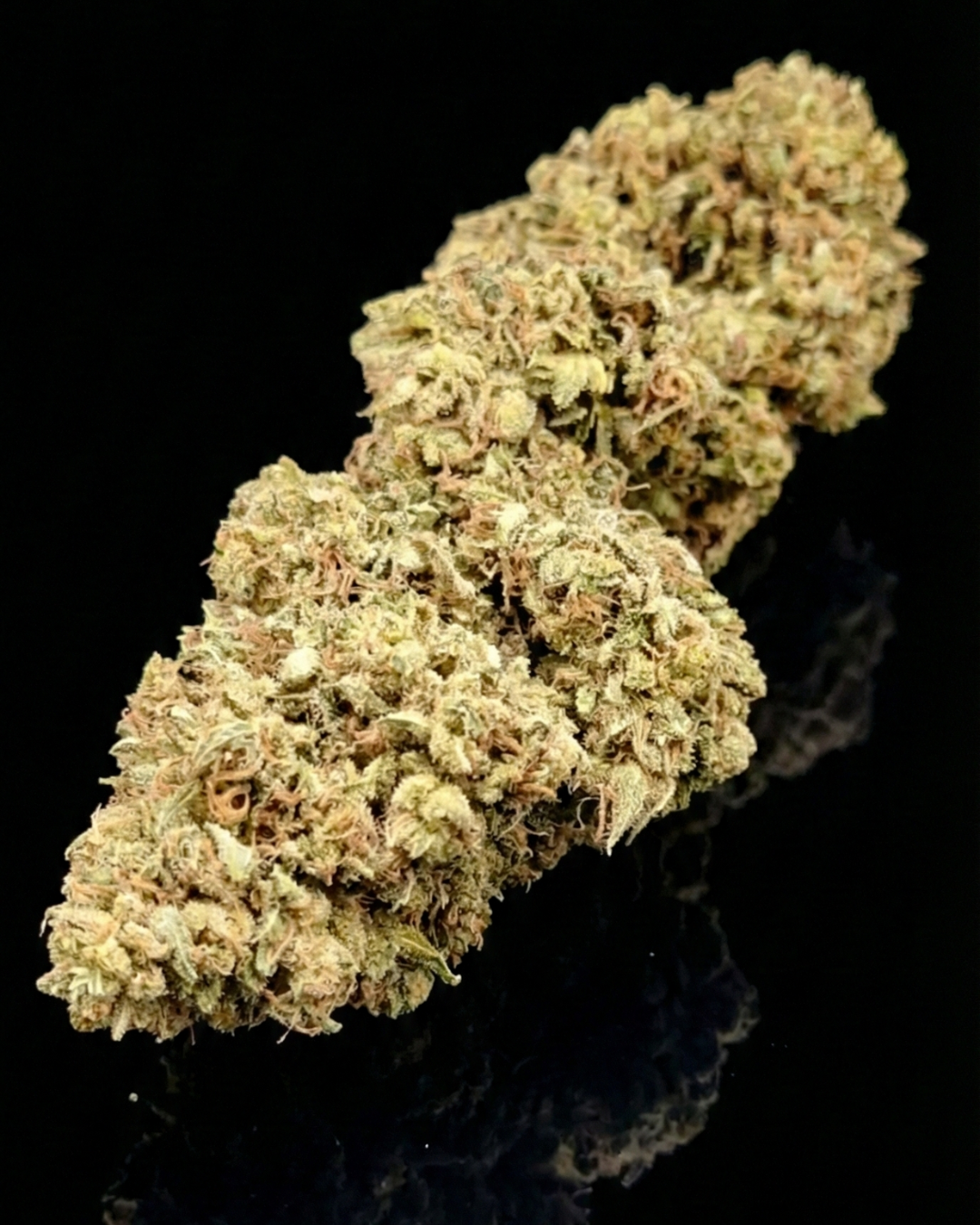 sour blueberry kush izno farm