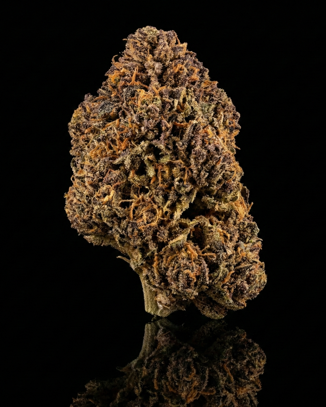 legendary platinium OG cannabis france cup