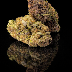 skunk jam breizh marie jeanne médaillée première place cannabis cup france cbd authentique vice et vertu