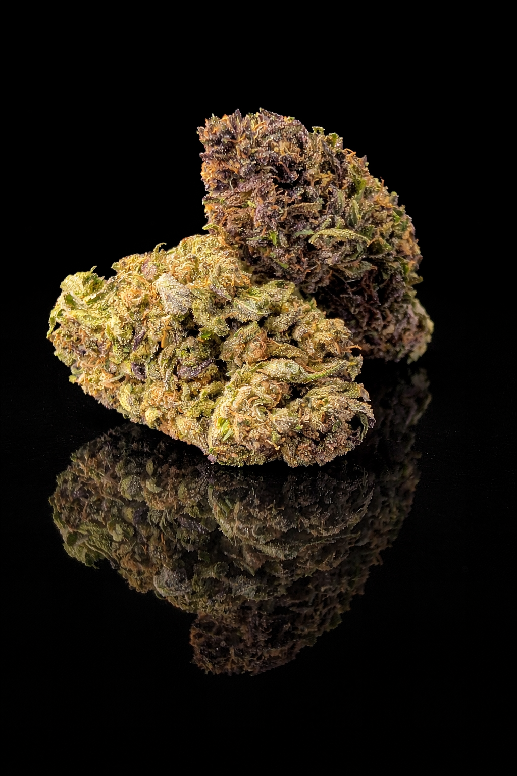 skunk jam breizh marie jeanne médaillée première place cannabis cup france cbd authentique vice et vertu