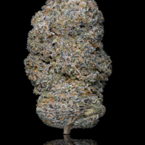 legendary skunk Weneed Spannabis cup médaille d'or