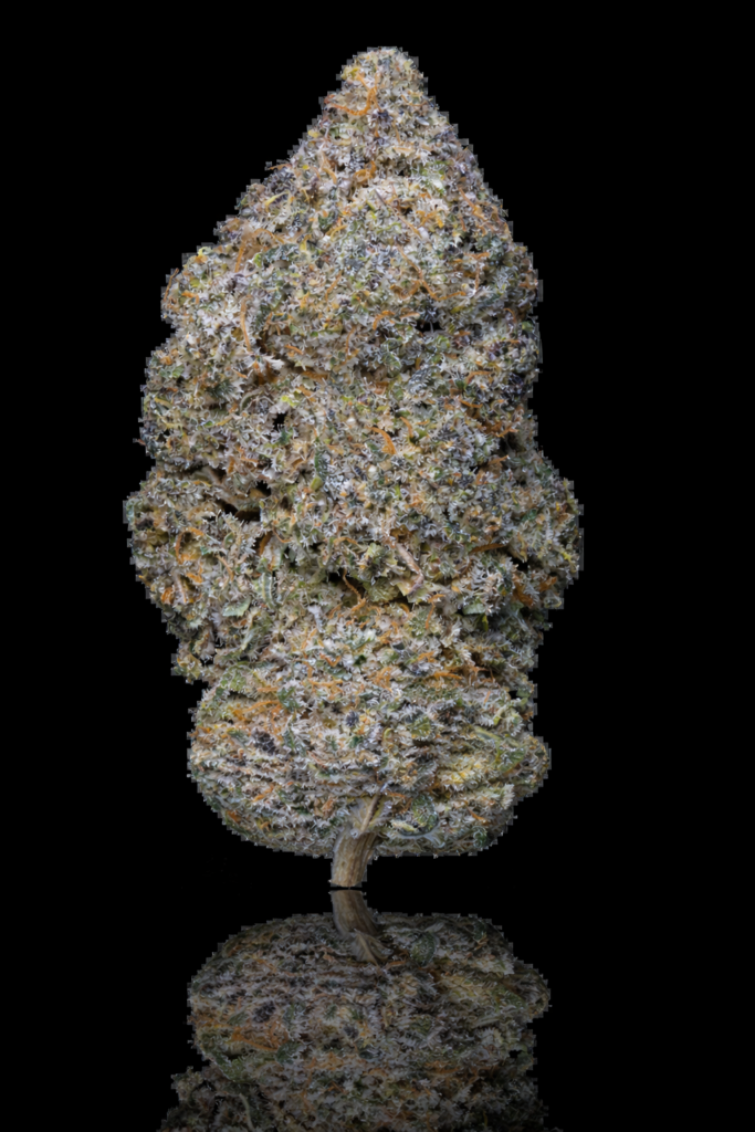 legendary skunk Weneed Spannabis cup médaille d'or