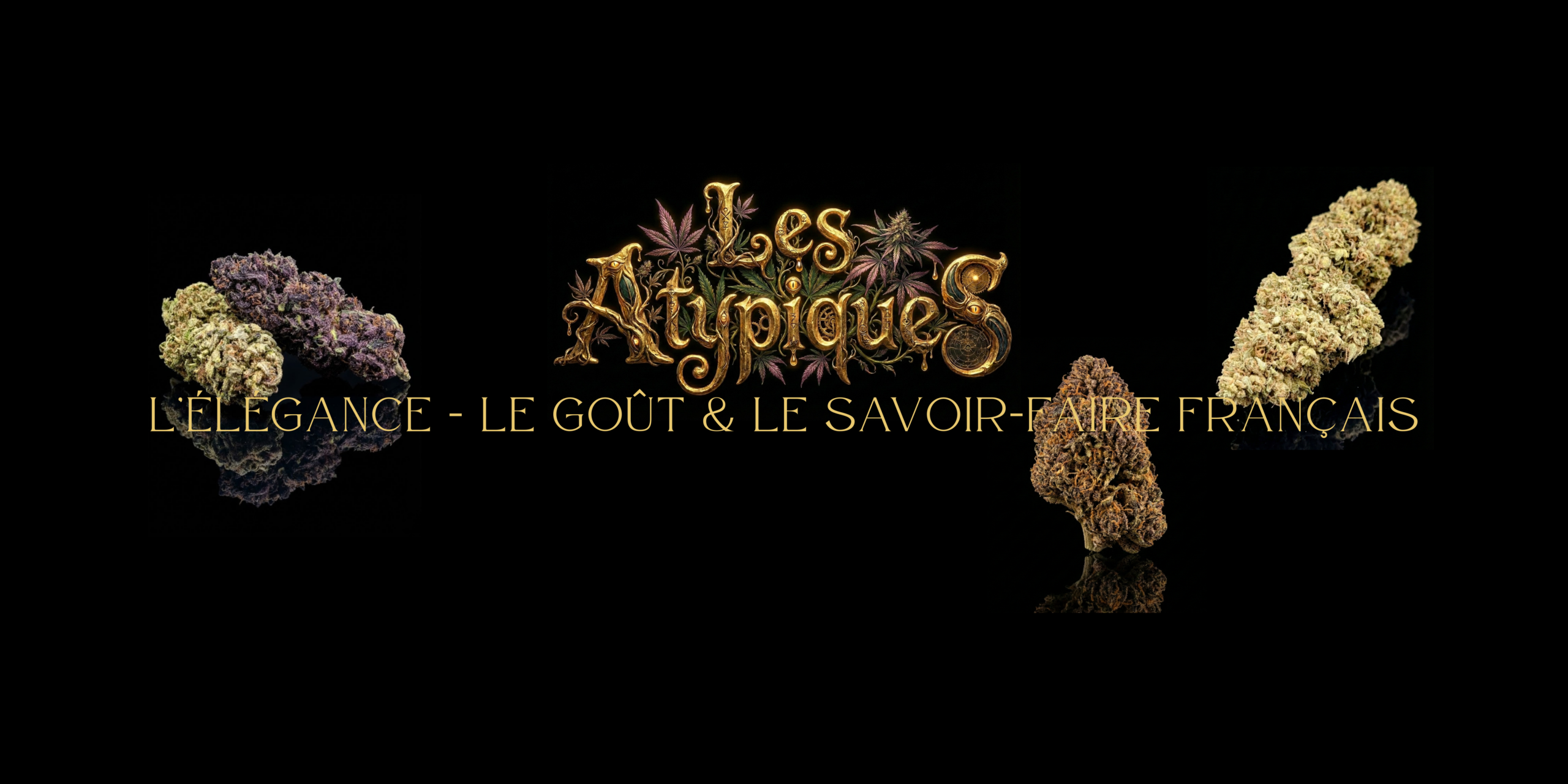 nouveauté static vice et vertu 