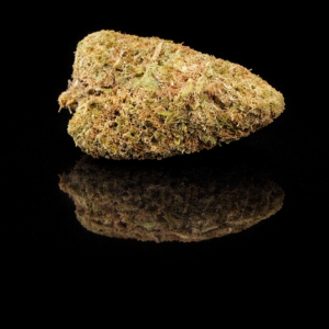 vaudou papaye cbd vice et vertu maléfique