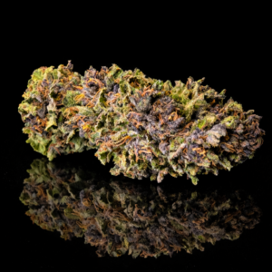 og z skunk enchanvrer le monde narcisse