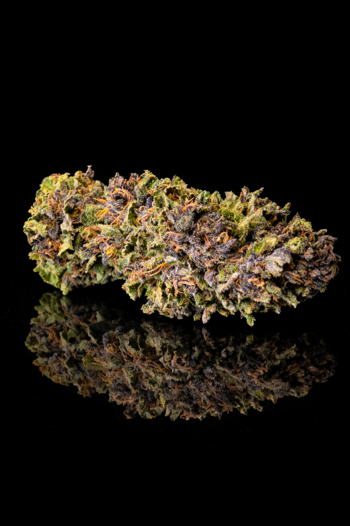 og z skunk enchanvrer le monde narcisse