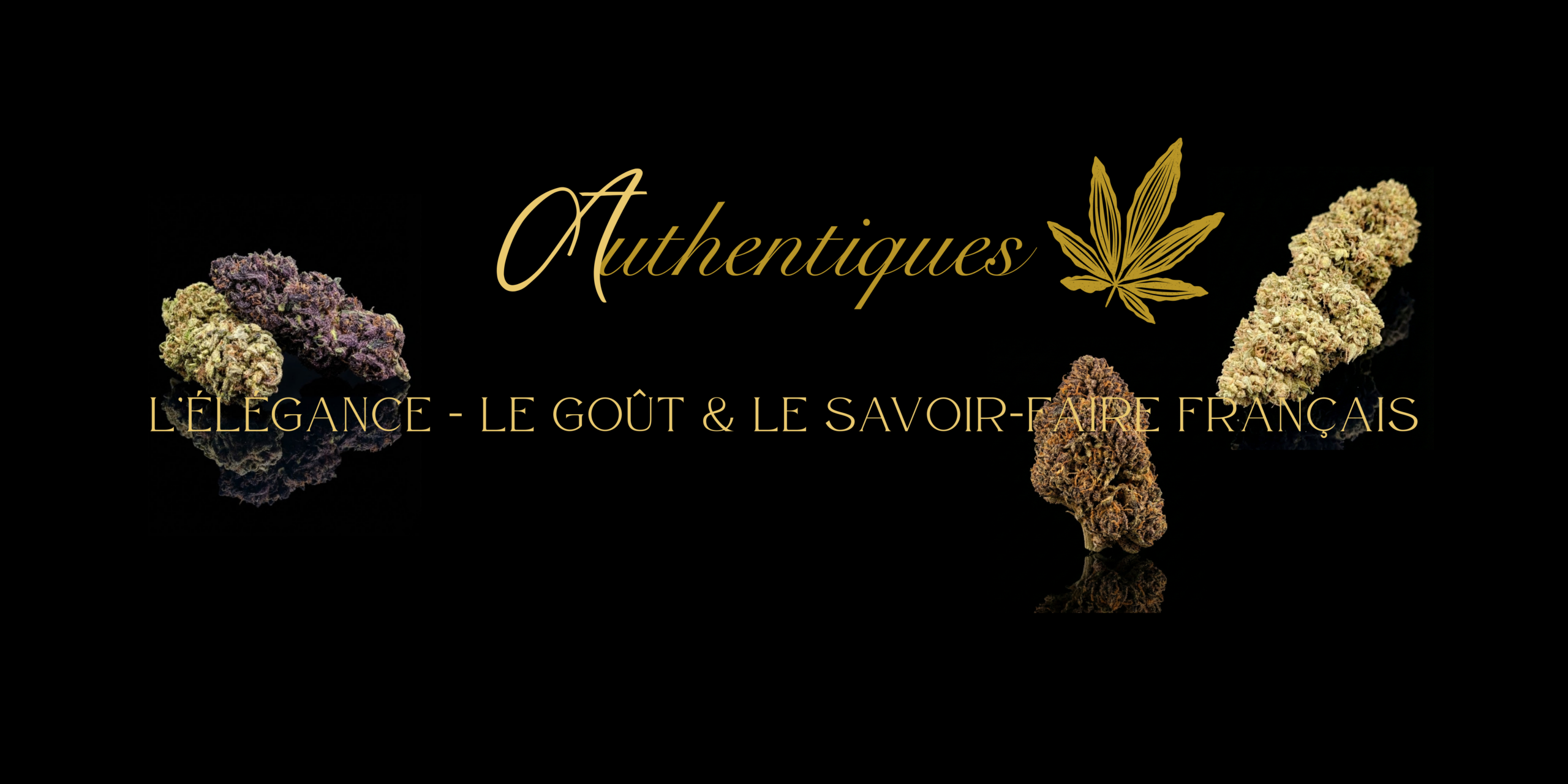 nouveauté static vice et vertu 