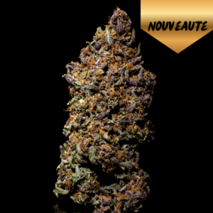 chocolate cover strawberry chem cbd vice et vertu terpz en herbe chocolat fraise fleur cbd