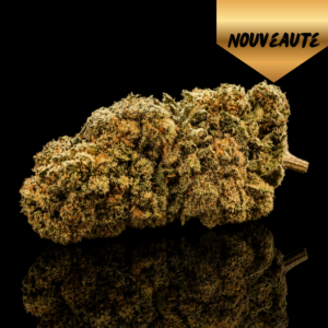 snowing in dam weneed agrumes tangie gaz cbd vice et vertu cannabiscup canathlon