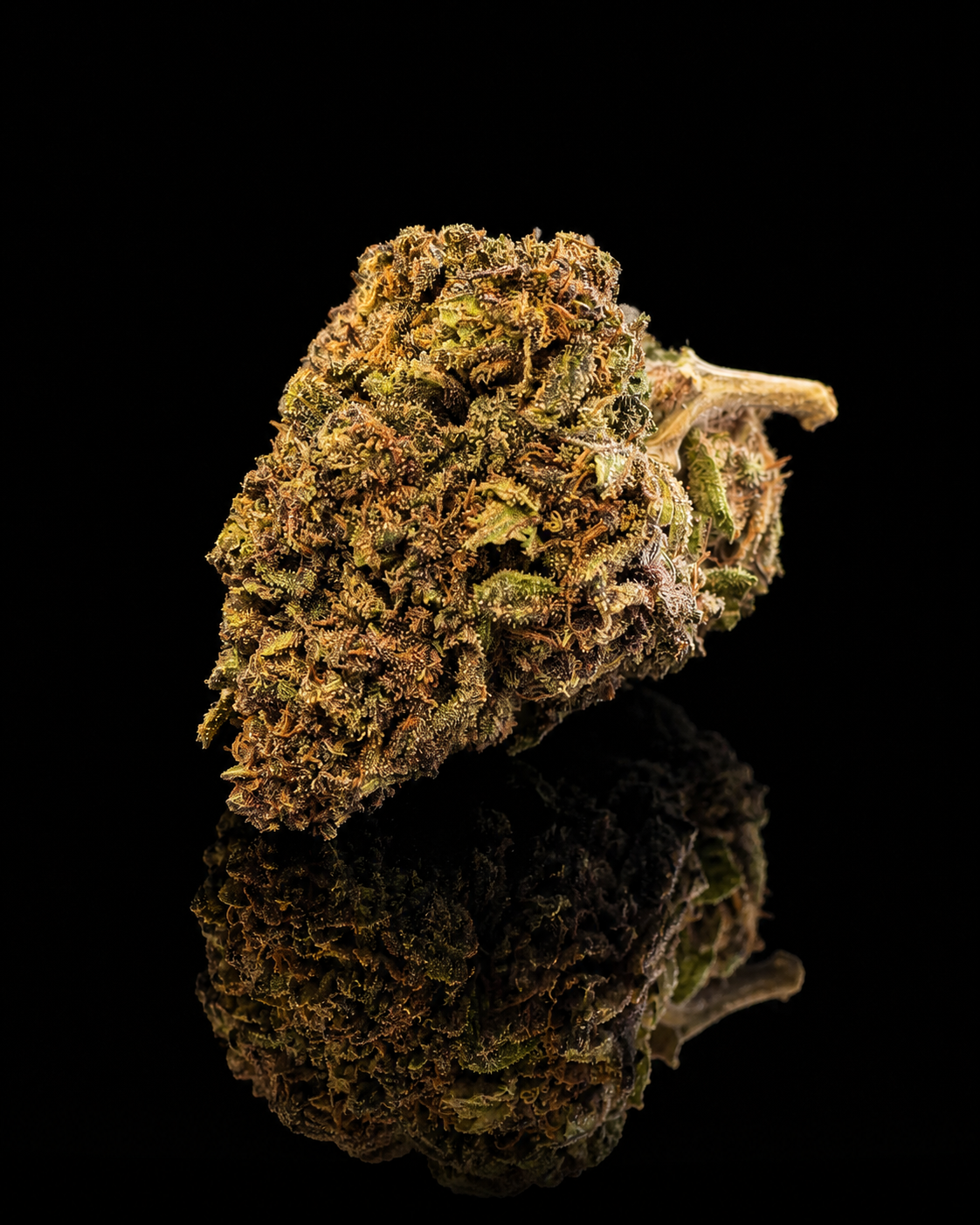 sweet cream alpine cali cbd platinum médaille bronze