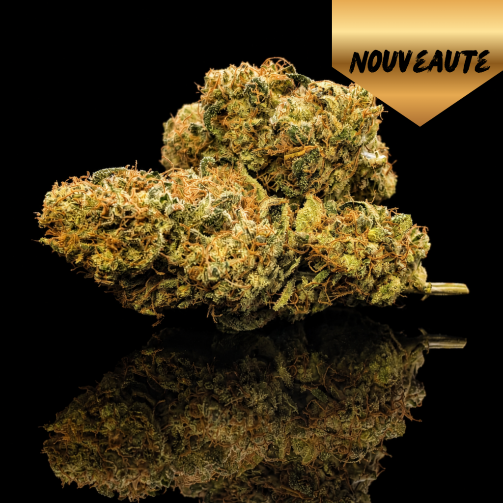 cookies kush luxury farm cbd indoor franche comté