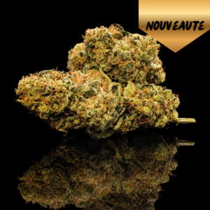 cookies kush luxury farm cbd indoor franche comté