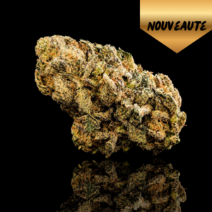 gas gaz cbd happy pousse indoor led cerise kush diesel led