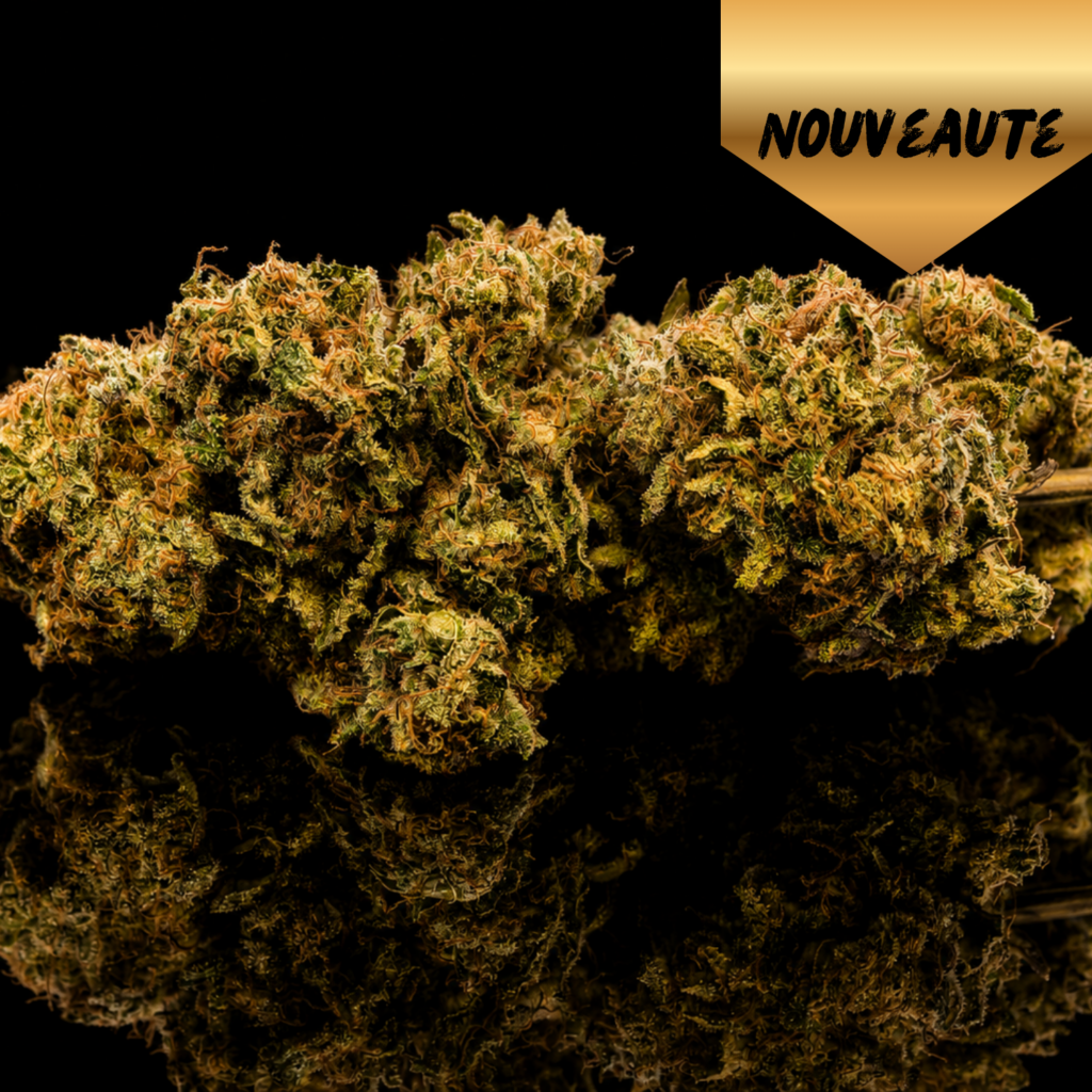 super yak luxury farm cbd producteur français franche comté vice et vertu Tomahawk (High Alpine Genetics)
