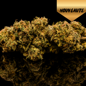 super yak luxury farm cbd producteur français franche comté vice et vertu Tomahawk (High Alpine Genetics)