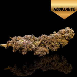 Tarmac izno farm diesel goudron